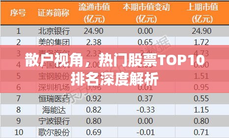 散户视角,热门股票TOP10排名深度解析