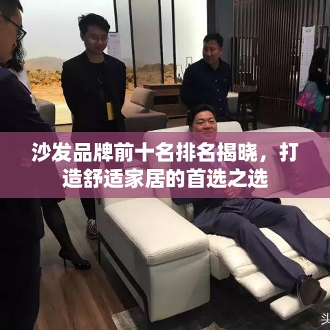 沙发品牌前十名排名揭晓,打造舒适家居的首选之选
