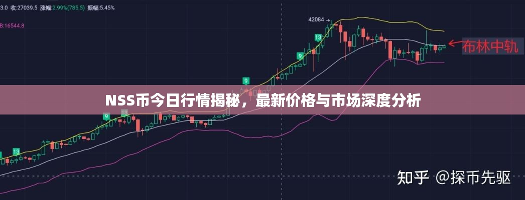 NSS币今日行情揭秘,最新价格与市场深度分析