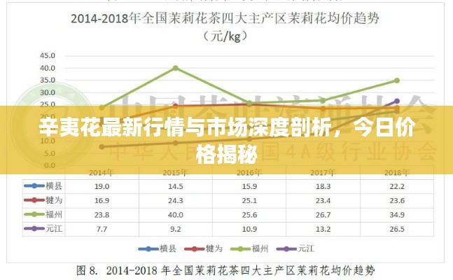 辛夷花最新行情与市场深度剖析,今日价格揭秘