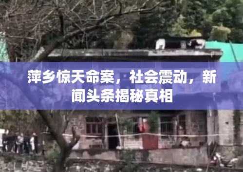 萍乡惊天命案,社会震动,新闻头条揭秘真相