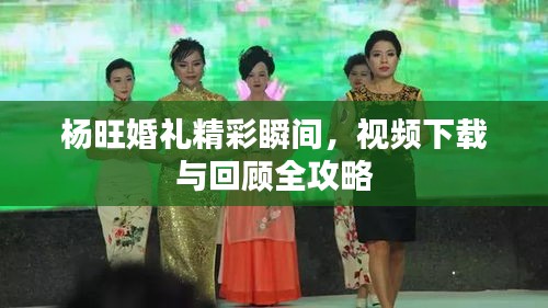 杨旺婚礼精彩瞬间,视频下载与回顾全攻略