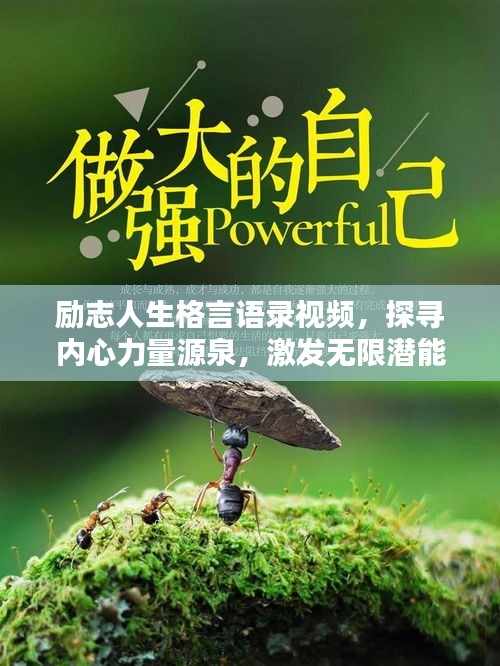 励志人生格言语录视频,探寻内心力量源泉,激发无限潜能