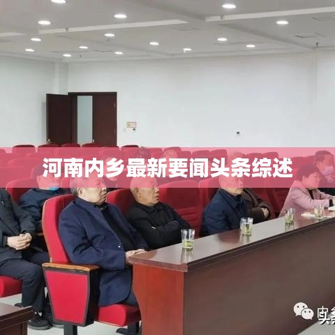 河南内乡最新要闻头条综述
