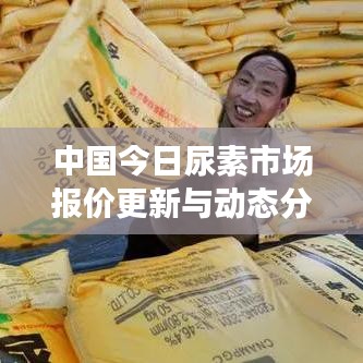 中国今日尿素市场报价更新与动态分析概览