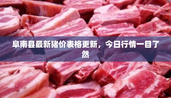 阜南县最新猪价表格更新,今日行情一目了然