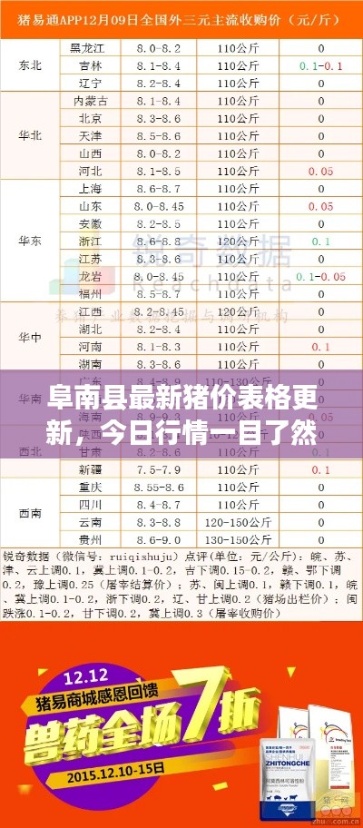 阜南县最新猪价表格更新,今日行情一目了然
