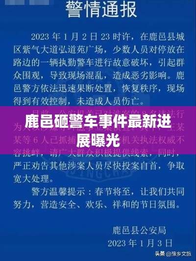 鹿邑砸警车事件最新进展曝光