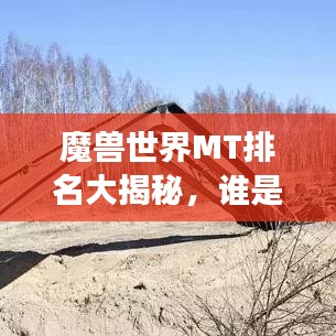 魔兽世界MT排名大揭秘,谁是最强坦克?