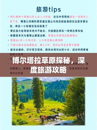 博尔塔拉草原探秘,深度旅游攻略