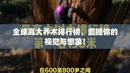 全球高大乔木排行榜,震撼你的视觉与想象!