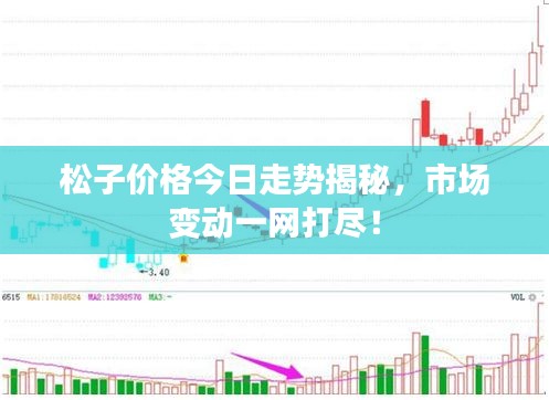 松子价格今日走势揭秘,市场变动一网打尽!