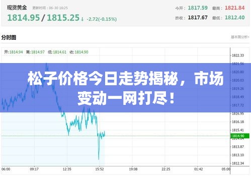 松子价格今日走势揭秘,市场变动一网打尽!