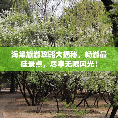海棠旅游攻略大揭秘,畅游最佳景点,尽享无限风光!