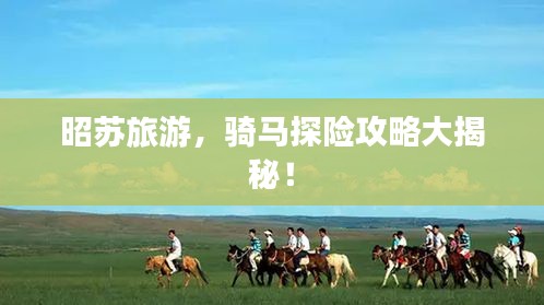 昭苏旅游,骑马探险攻略大揭秘!