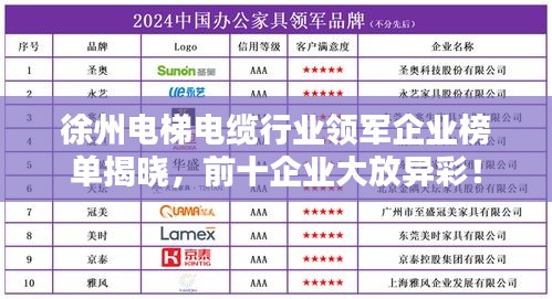 徐州电梯电缆行业领军企业榜单揭晓,前十企业大放异彩!