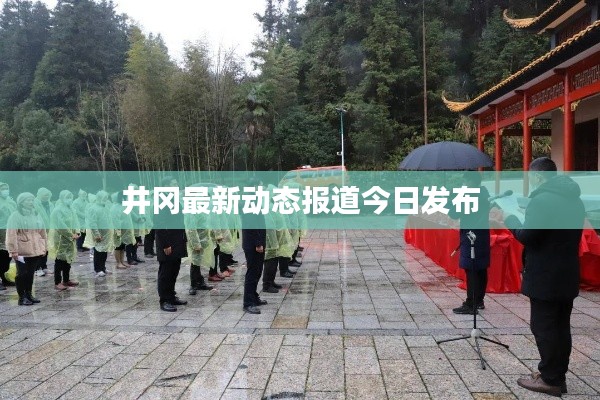 井冈最新动态报道今日发布