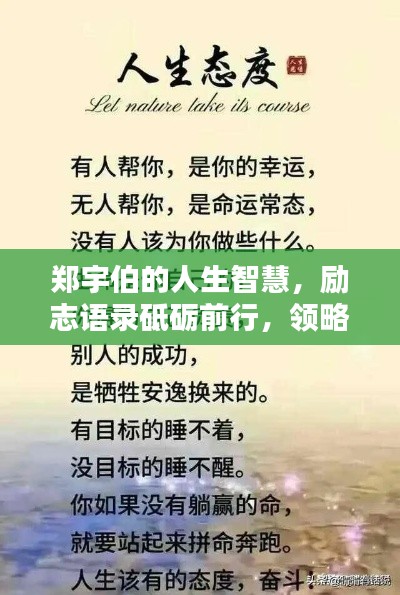 郑宇伯的人生智慧,励志语录砥砺前行,领略人生精彩!