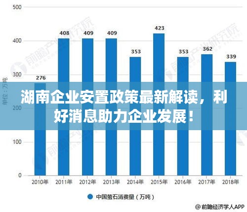 湖南企业安置政策最新解读,利好消息助力企业发展!