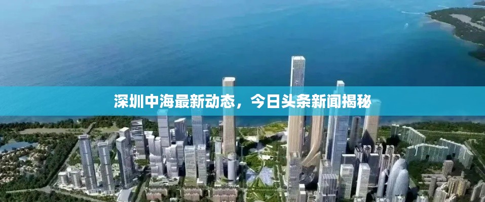 深圳中海最新动态,今日头条新闻揭秘