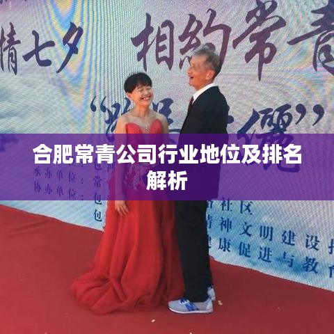 合肥常青公司行业地位及排名解析