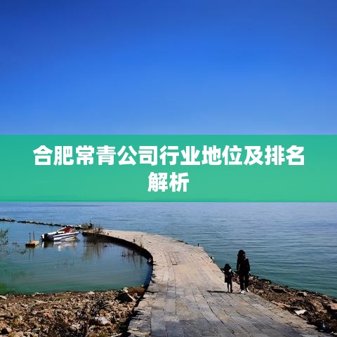 合肥常青公司行业地位及排名解析