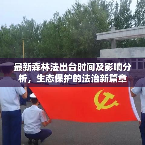 最新森林法出台时间及影响分析,生态保护的法治新篇章