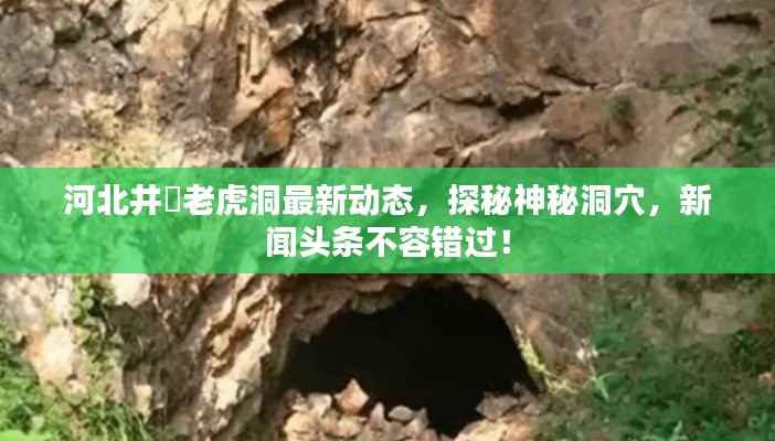 河北井陞老虎洞最新动态,探秘神秘洞穴,新闻头条不容错过!