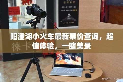 阳澄湖小火车最新票价查询,超值体验,一睹美景