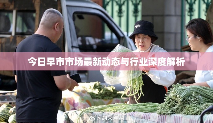 今日早市市场最新动态与行业深度解析