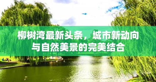 柳树湾最新头条,城市新动向与自然美景的完美结合