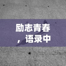 励志青春,语录中的力量与智慧启迪人生