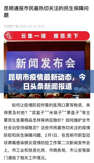 昆明市疫情最新动态,今日头条新闻报道