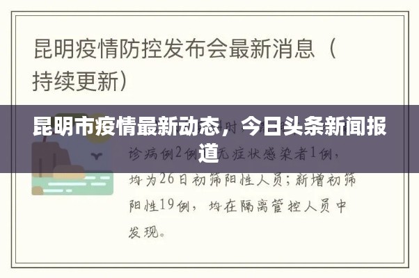 昆明市疫情最新动态,今日头条新闻报道