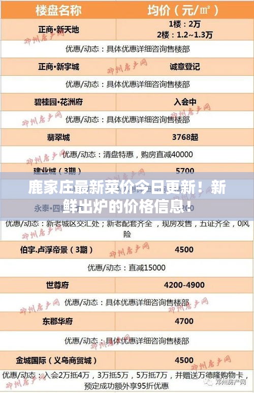 鹿家庄最新菜价今日更新!新鲜出炉的价格信息!