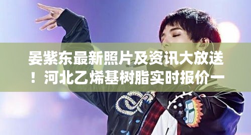 建站服务 第86页