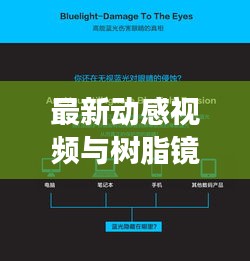 最新动感视频与树脂镜片价格揭秘,市场动态全面解析
