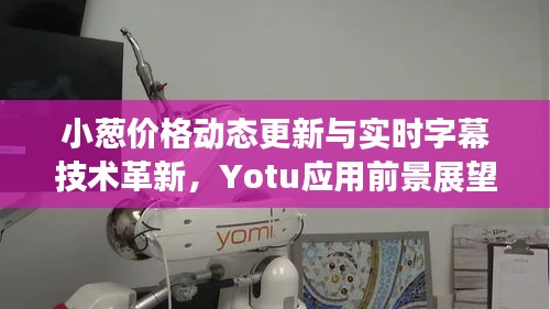 小葱价格动态更新与实时字幕技术革新,Yotu应用前景展望
