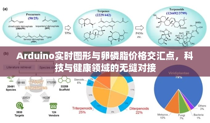 Arduino实时图形与卵磷脂价格交汇点,科技与健康领域的无缝对接
