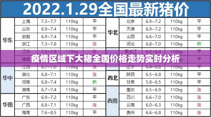 疫情区域下大猪全国价格走势实时分析