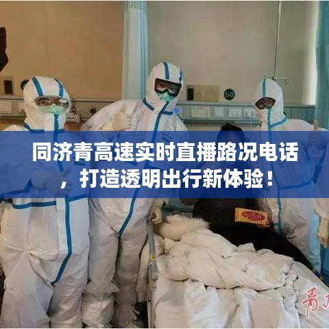 同济青高速实时直播路况电话，打造透明出行新体验！