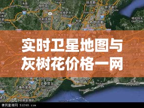 物稀为贵 第2页