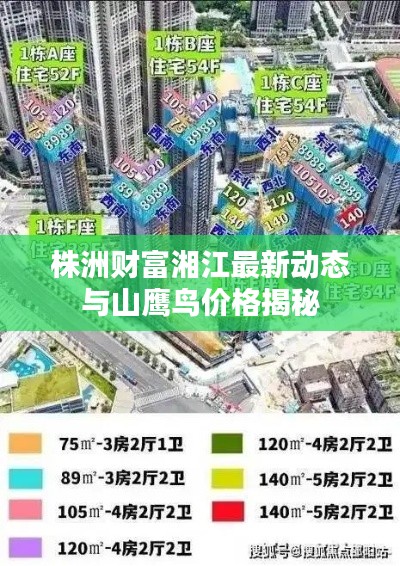 株洲财富湘江最新动态与山鹰鸟价格揭秘