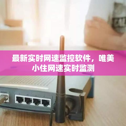 最新实时网速监控软件,唯美小住网速实时监测