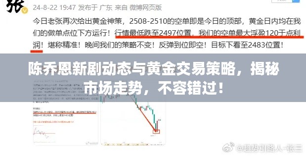 陈乔恩新剧动态与黄金交易策略,揭秘市场走势,不容错过!