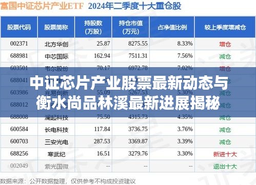 中证芯片产业股票最新动态与衡水尚品林溪最新进展揭秘