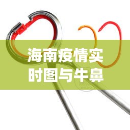 海南疫情实时图与牛鼻环市场动态,多元视角下的观察分析