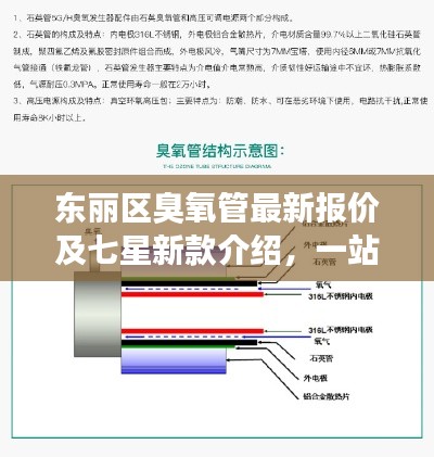 东丽区臭氧管最新报价及七星新款介绍,一站式了解!