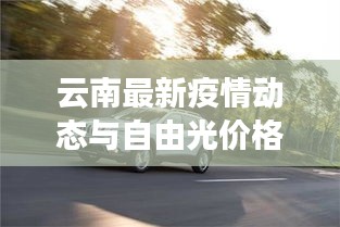 云南最新疫情动态与自由光价格揭秘