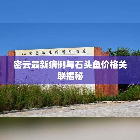 密云最新病例与石头鱼价格关联揭秘
